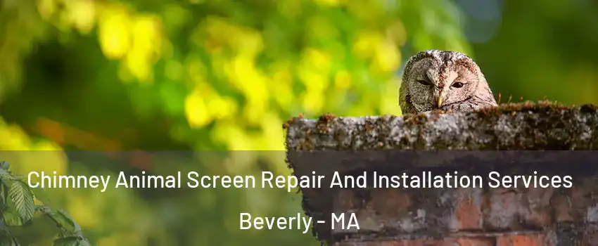  Chimney Animal Screen Repair And Installation Services Beverly - MA