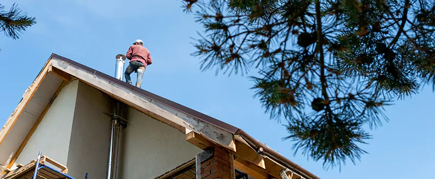 Birds Removal Contractors from Chimney in Beverly, MA