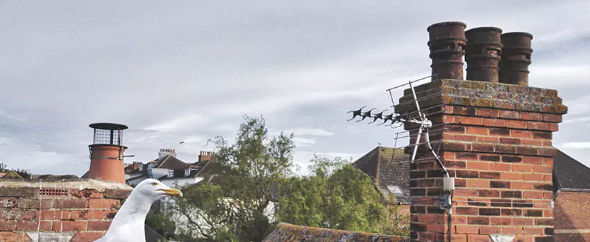 Chimney Cleaning And Restoration in Beverly, Massachusetts