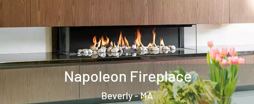  Napoleon Fireplace Beverly - MA